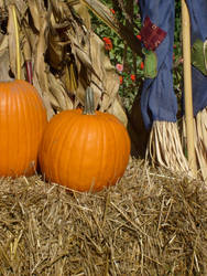 Pumpkins and Straw People