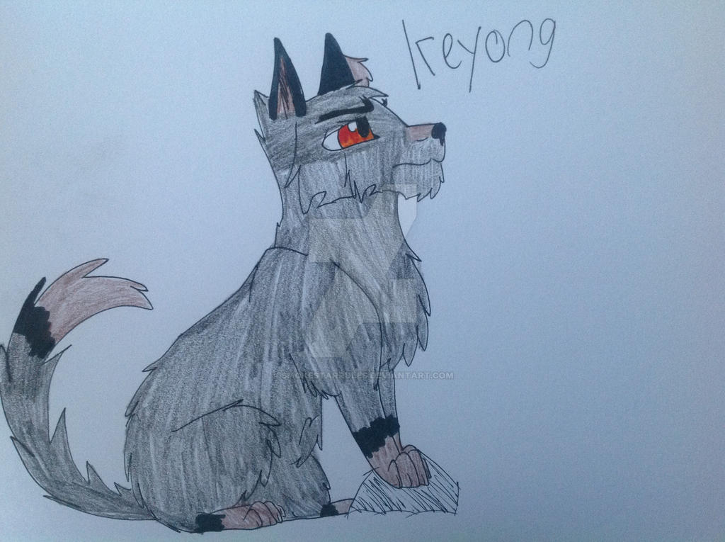Keyong Keyong reference sheet by Smokestarrules on DeviantArt