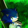 Sonic With the Chili Dog