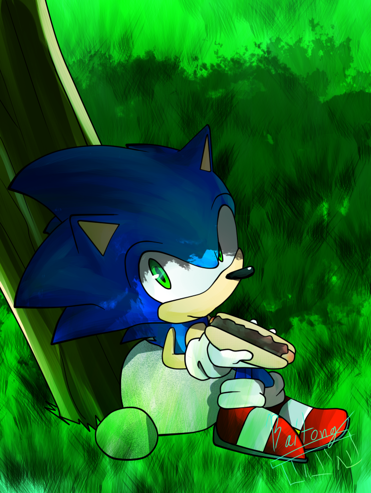 Sonic With the Chili Dog