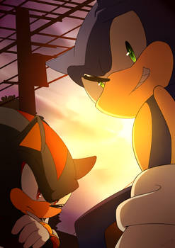 Sonic and Shadow