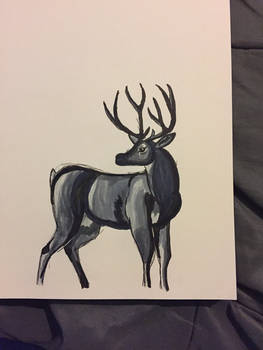 Buck Done In Marker