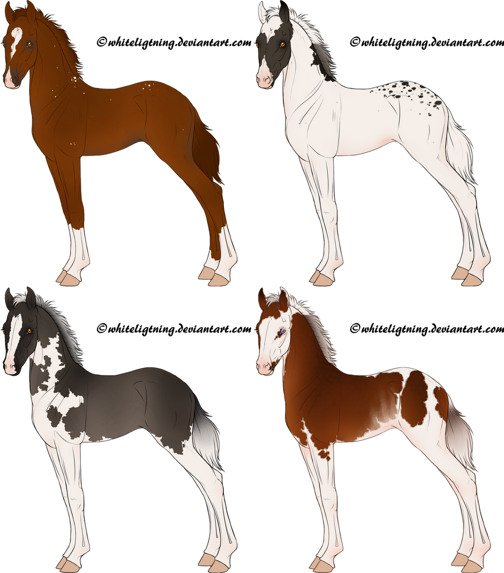 Lined Christmas Foals 1