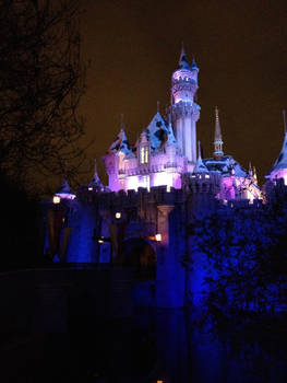 Disneyland Castle at night