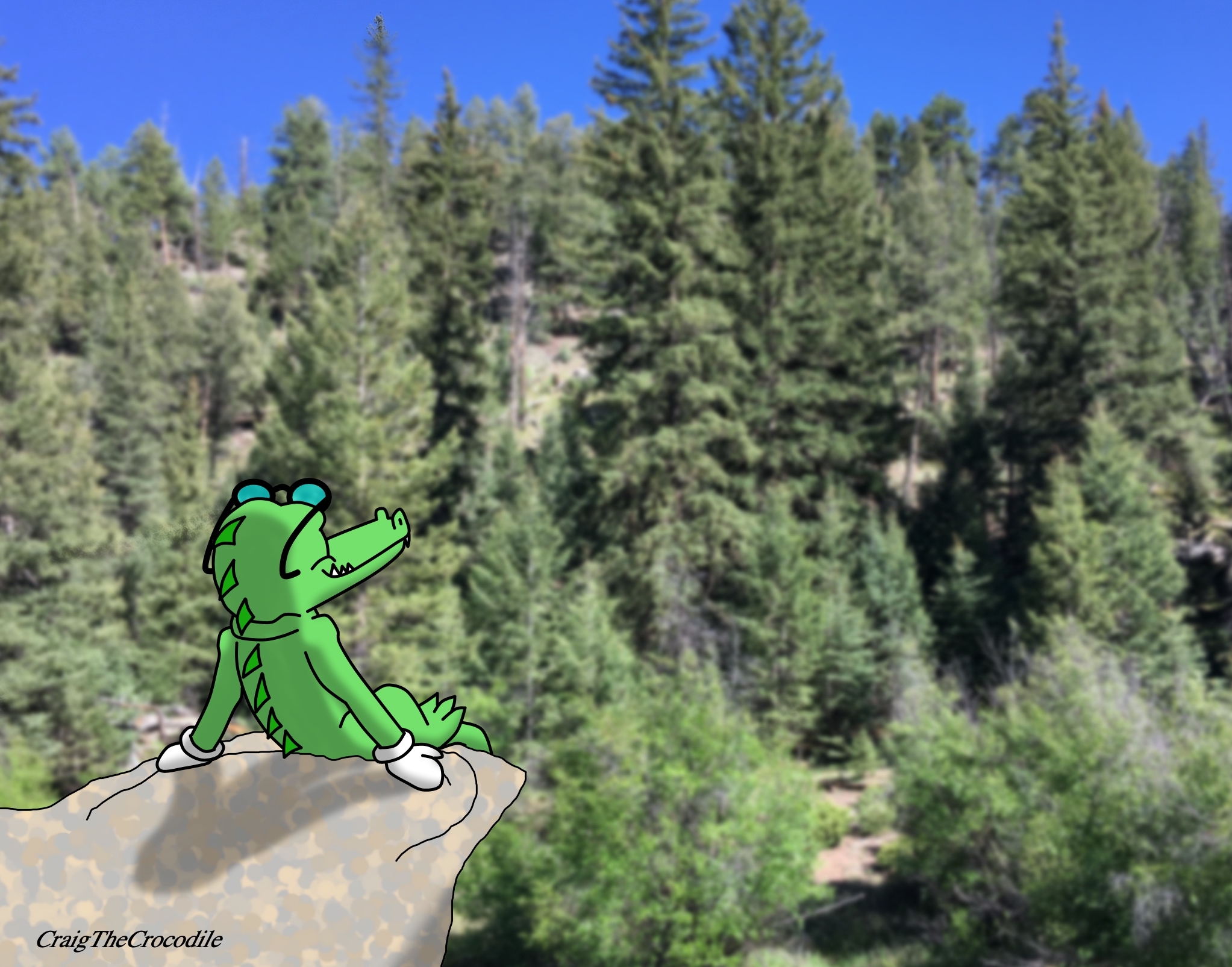 Appreciating Nature