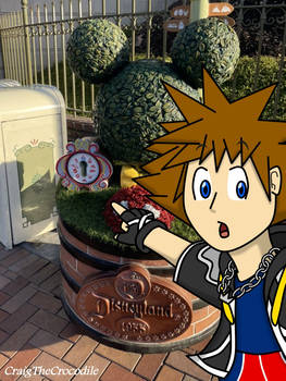 The Disneyland Keyhole