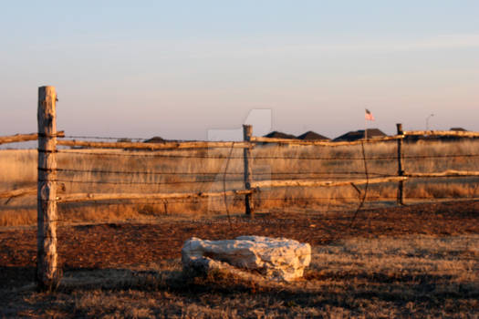 Grassy Field at Sunset