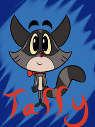 Taffy the Cat (Raccoon)