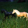 Friesian and Haflinger mare