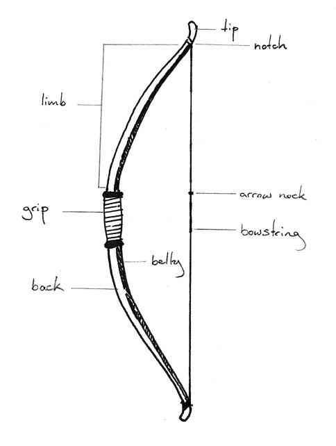 Bow Anatomy by Ming-Lung