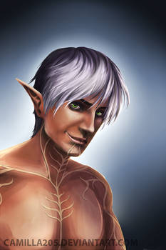 Dragon Age - Fenris