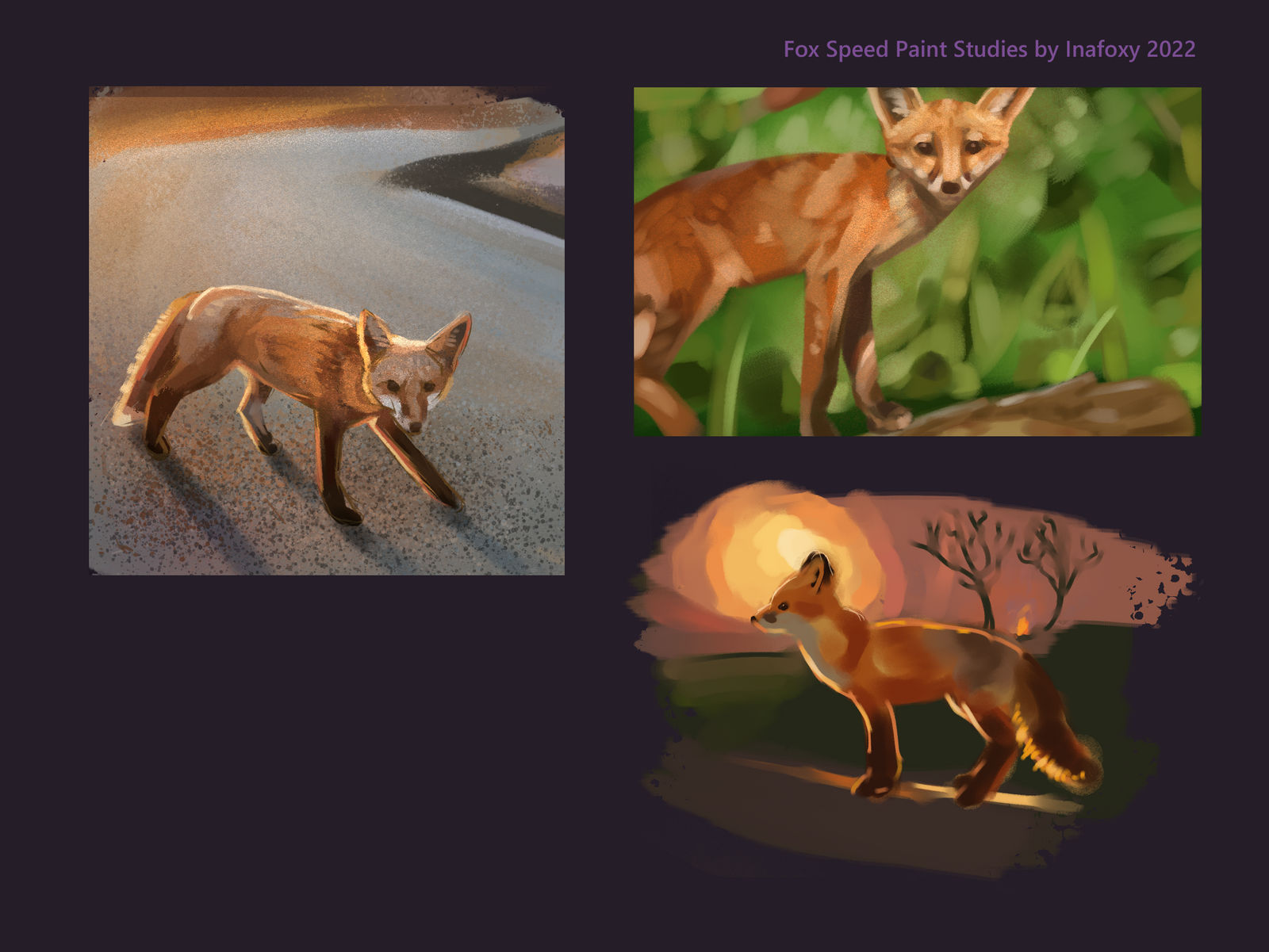 Fox Speed Paint Studies by Inafoxy on DeviantArt