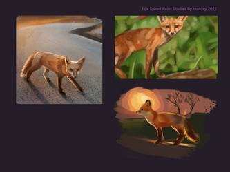 Fox Speed Paint Studies by Inafoxy