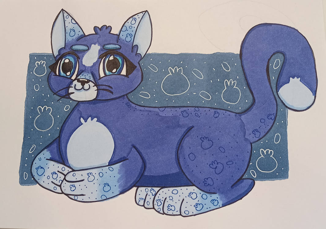 Blue Raspberry Cat Blueberry Cat by KetekArt on DeviantArt