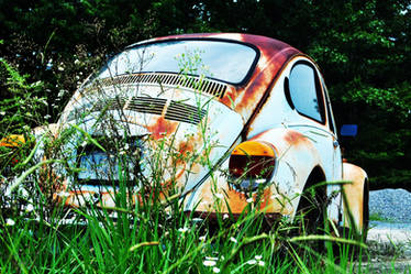 Rusty Beetle 1 -original-