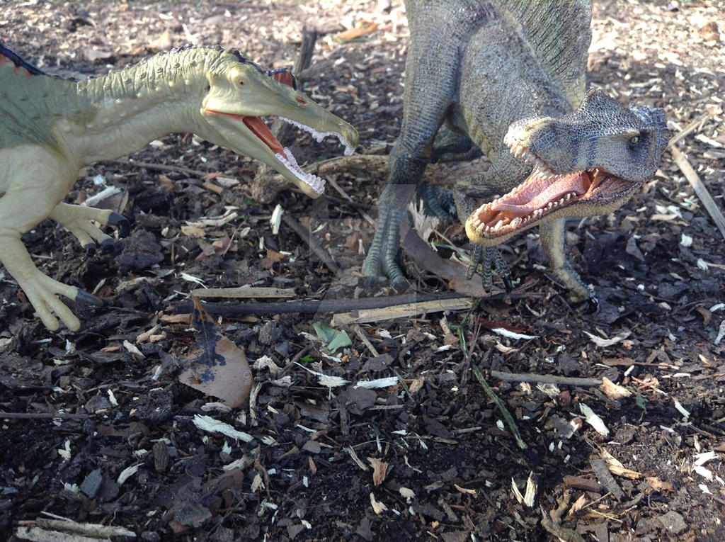 Spinosaurus battle