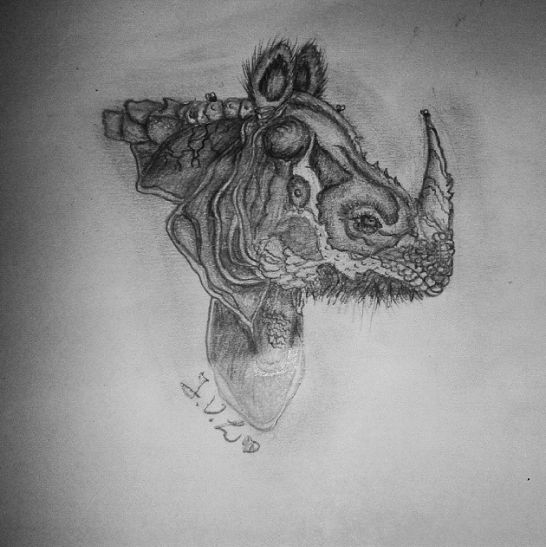 Rhino by JackyArts on DeviantArt