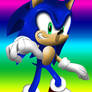 +. SoNiC .+