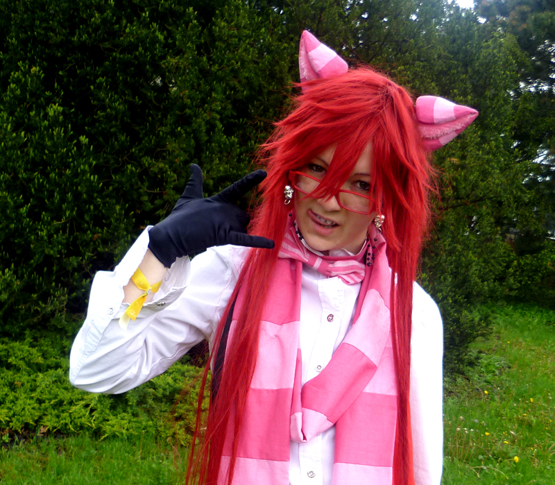 AF 2013 - Cheshire cat