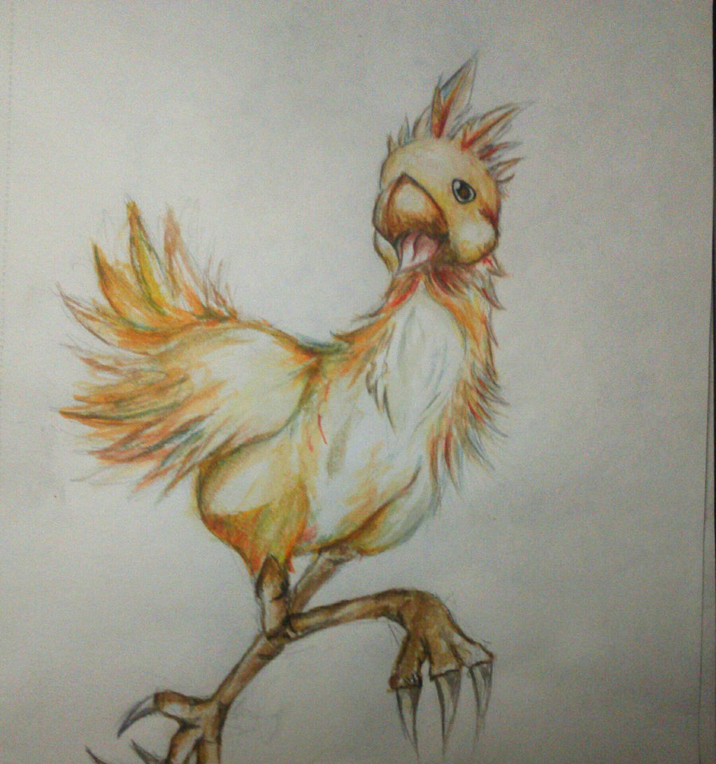 Chocobo.