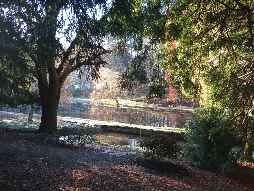 Pretty Reflection Pretty reflections by WillowOfTheForest on DeviantArt