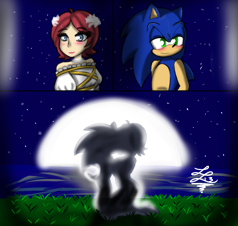 A romantic moment - Sonic and Elise by lupitamota on DeviantArt