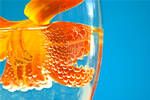 Fresh II by IrishGirl72