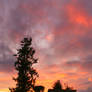 Barn Sunset