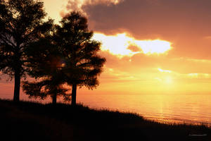 A view worth sharing