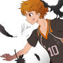 Hinata Shouyou :D