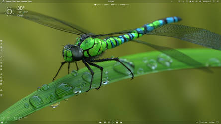 Screenshot Dragonfly wallpaper