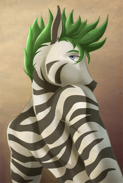 Sunset Zebra