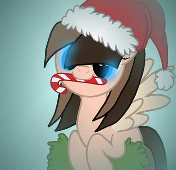 Merry Christmas Kitty Baker!