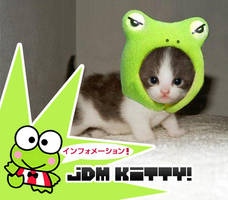 JDM Kitty