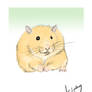 Ludde the Hamster