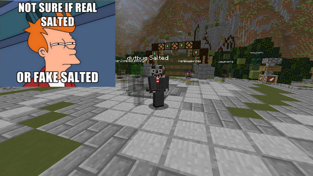 That moment a famous youtuber is on Minecraft...