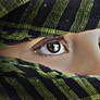 Arabian Vision