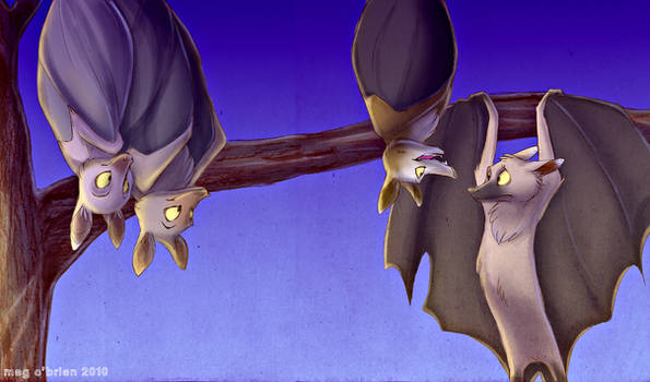 Fruit bats.