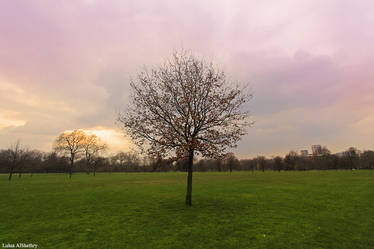 Hyde park - London