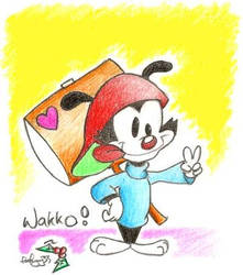 Wakko