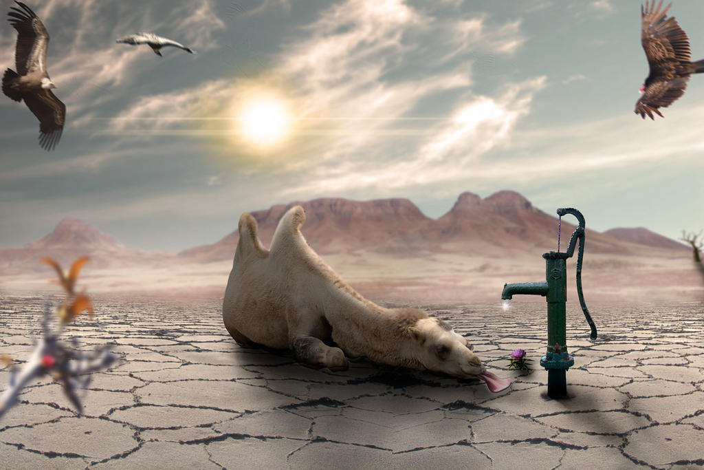 The waiting by Mattlis The waiting by Mattlis