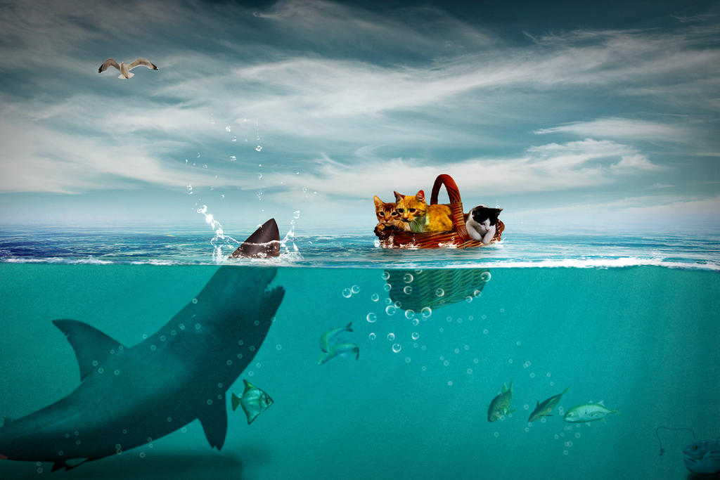 Such a big fish by Mattlis