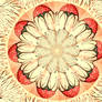 flower kaleidoscope