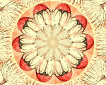 flower kaleidoscope by Yogananda