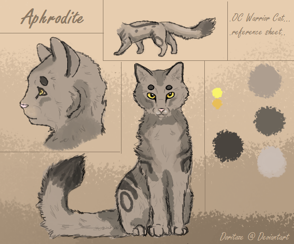 Warrior Cat Reference Sheet Aphrodite By Briggieh On Deviantart.