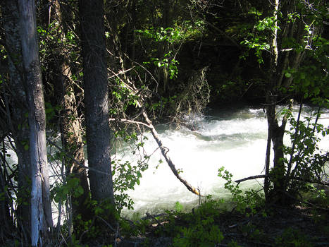 Radium Hot Springs