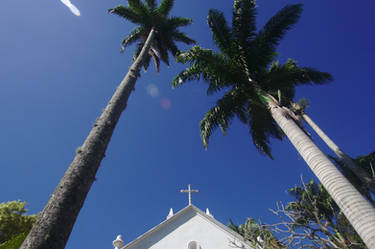 Church and Palm trees