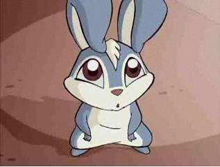 kiko(blooms rabbit) by atoosawinx on DeviantArt