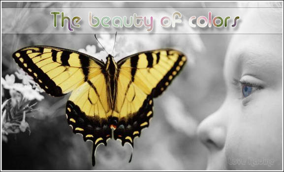 The beauty of colors
