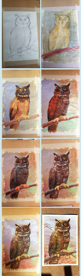 Traditional Painting: Owl Wips